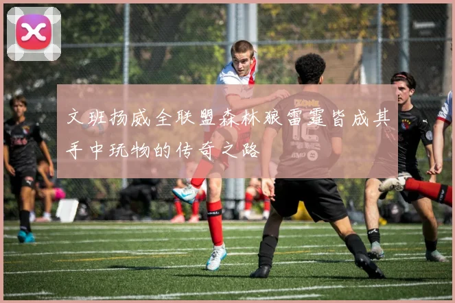 文班扬威全联盟森林狼雷霆皆成其手中玩物的传奇之路