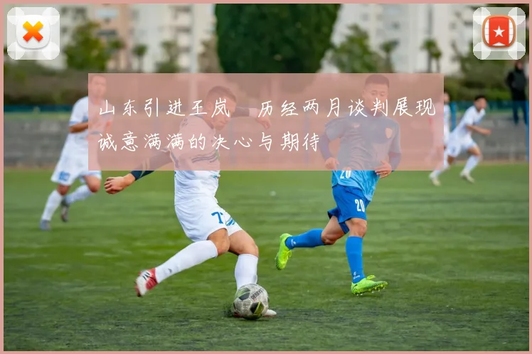 山东引进王岚嵚历经两月谈判展现诚意满满的决心与期待