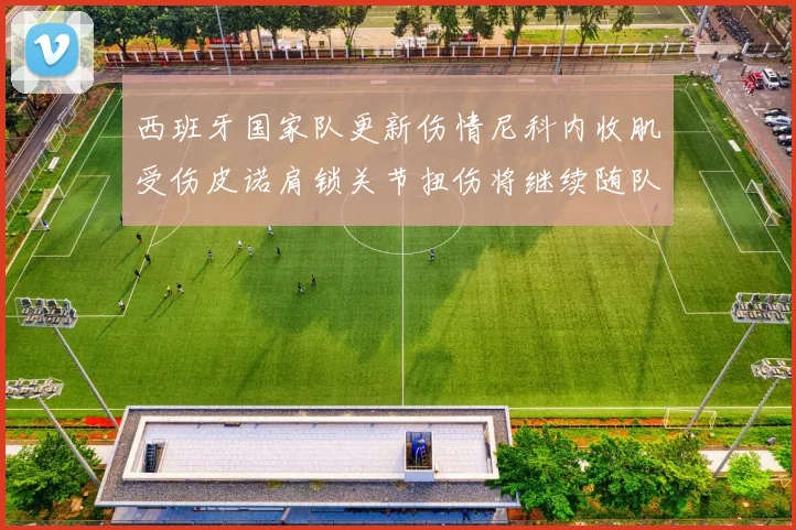 西班牙国家队更新伤情尼科内收肌受伤皮诺肩锁关节扭伤将继续随队训练
